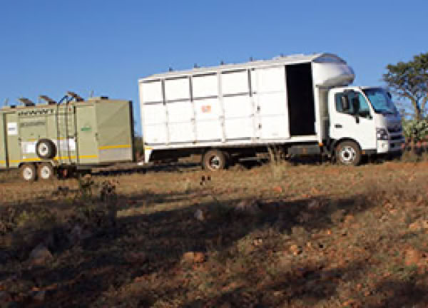 A white truck with a large box trailer parked on a dry, rocky terrain with sparse vegetation, under a clear blue sky.